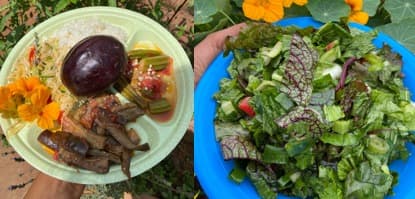 Medically Tailored Meals